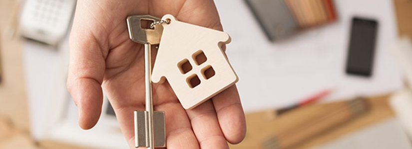 Estate Planning Will Advisory