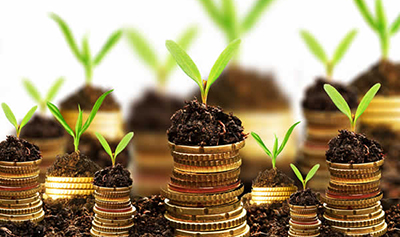 Working Capital Solutions